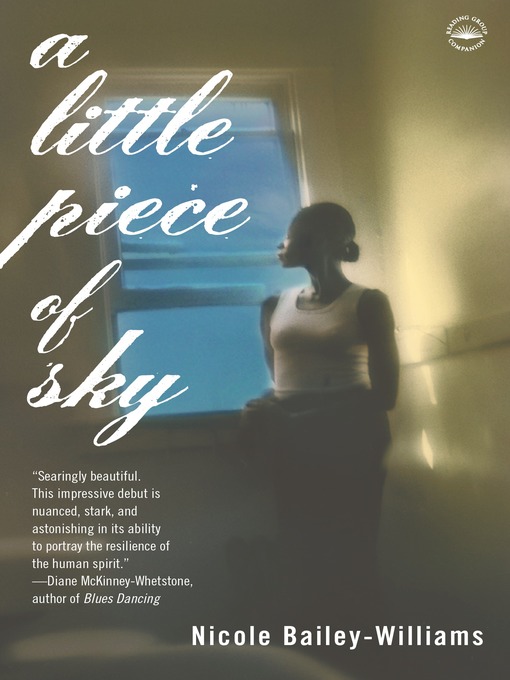 Title details for A Little Piece of Sky by Nicole Bailey Williams - Available